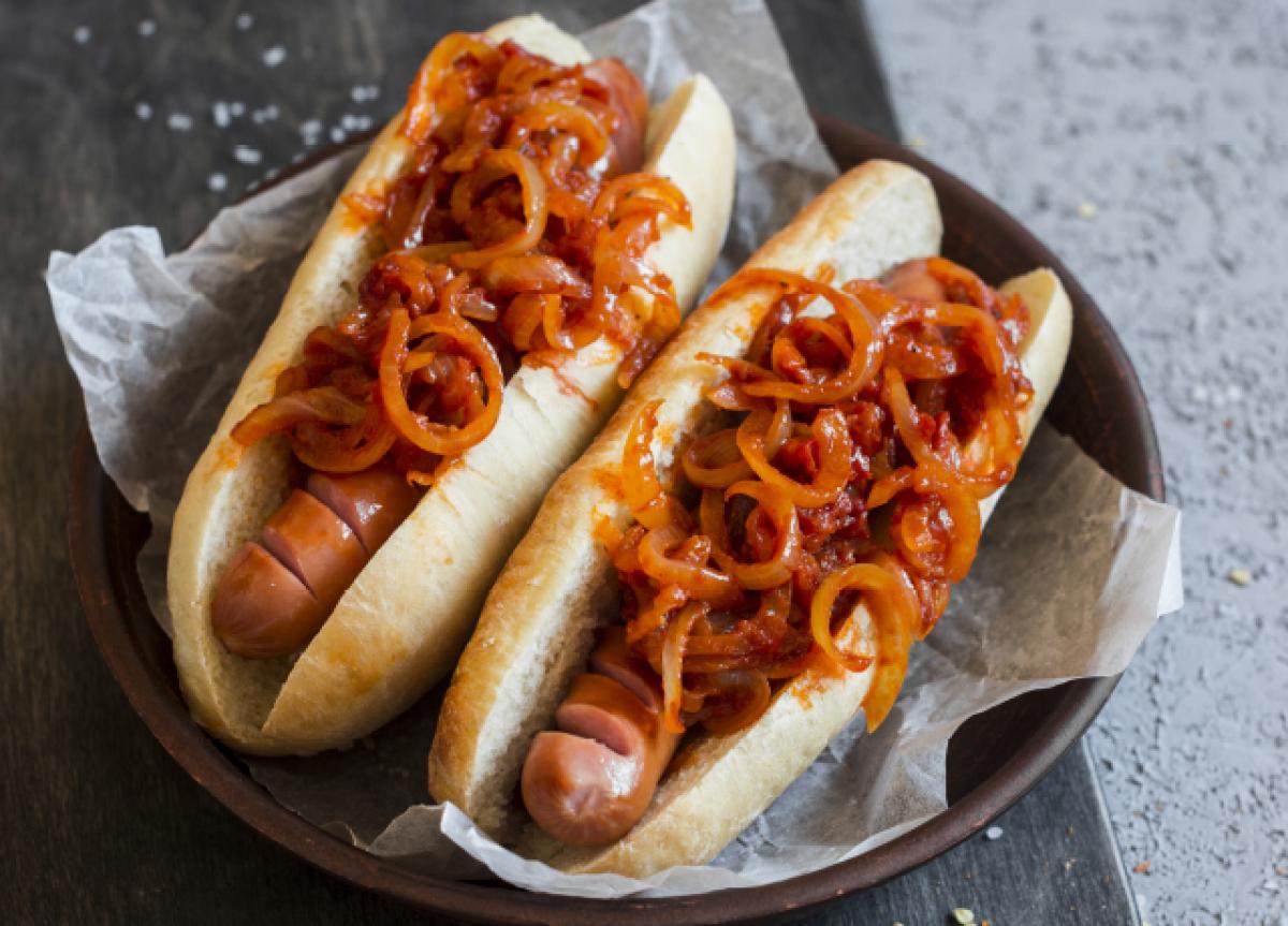 Poli dog 4